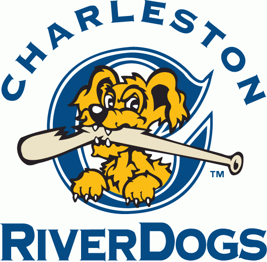Charleston Riverdogs 1996-2010 Primary Logo iron on transfers for clothing